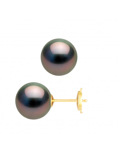 Tahiti Bead Earrings - Sizes from 9 to 11 mm - Security System - Gold 375 - VITAMA