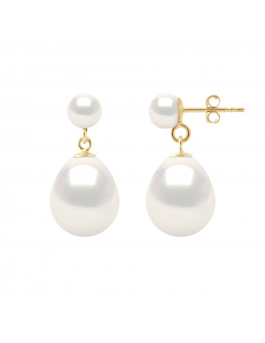 Boucles d'Oreilles Perles Poires 10-11 mm et Boutons 5-6 mm - Système Poussettes - Or 375 - LEVALLOIS