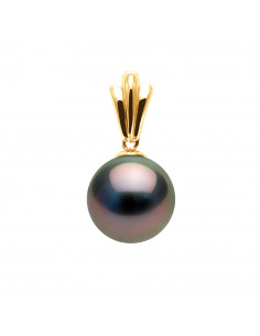 Round Tahitian Pearl Pendant 12-13 mm - Chain Offered -...
