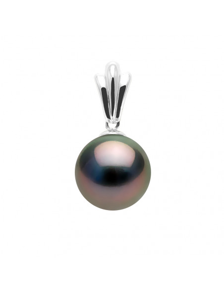 Round Tahitian Pearl Pendant 12-13 mm - Chain Offered - Gold 375 - Mafano
