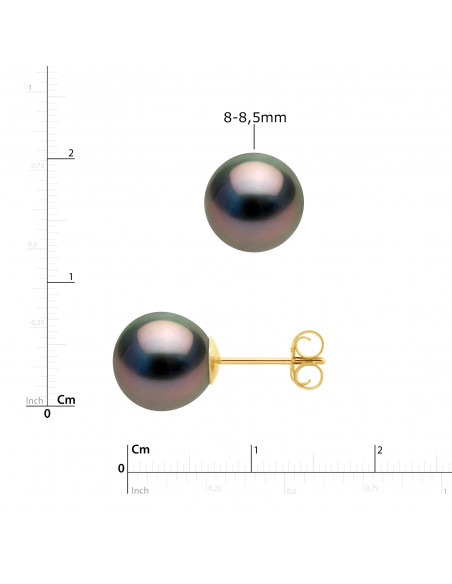 Round Tahitian Bead Earrings - Available in several sizes - Strollers System - Gold 750 - Rangiroa