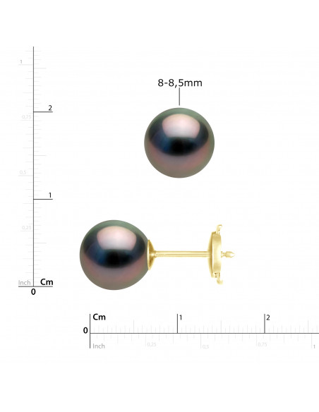 Boucles d'Oreilles PRESTIGE Perles de Tahiti Rondes - Disponibles en Plusieurs Tailles - Système SECURITE - Or 750 - MANANGA