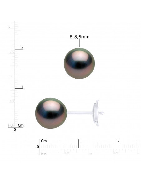 Round Tahiti Beads Prestige Earrings - Available in several sizes - SECURITY SYSTEM - OR 750 - Mananga