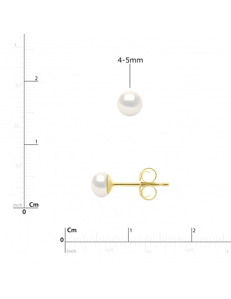 Boucles d'Oreilles Perles BOUTONS - Plusieurs Tailles Disponibles - Or 750 - NEUILLY