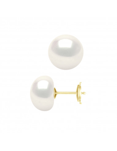 Boucles d'Oreilles Boutons - TAILLES EXCEPTIONNELLES -  Système Sécurité - Or 375 - ELYSEE