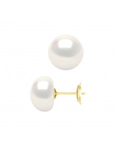 Earrings Buttons - Exceptional Sizes - Safety System -...