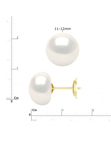Boucles d'Oreilles Boutons - TAILLES EXCEPTIONNELLES -  Système Sécurité - Or 750 - TRIOMPHE