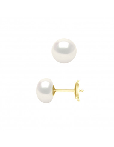 Boucles d'Oreilles Perles Boutons - Plusieurs...