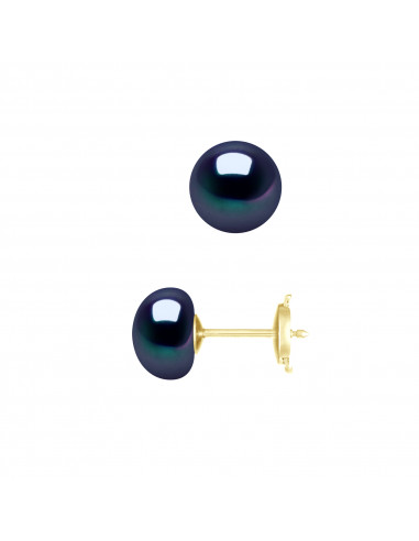 Boucles d'Oreilles Perles Boutons - Plusieurs Tailles Disponibles - Système Sécurité - Or 375 - CONCORDE