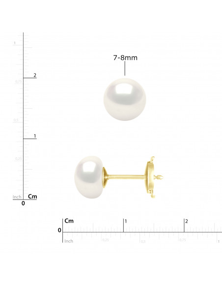 Boucles d'Oreilles Perles Boutons - Plusieurs Tailles Disponibles - Système Sécurité - Or 375 - CONCORDE