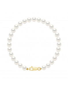 Rana Range Bracelets - Sizes from 4 to 7 mm - Carabiner -...