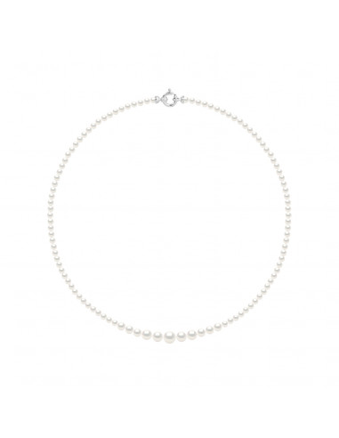 Colliers en Chute - Rangs de Perles Rondes de 6...