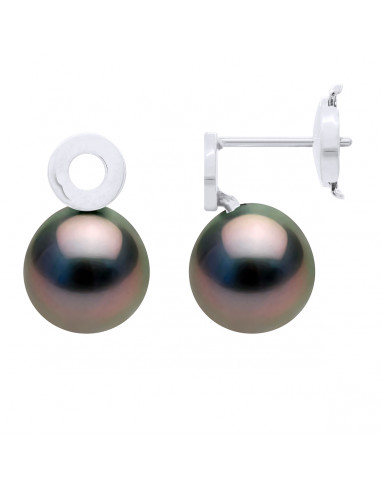 Round Tahitian Beads 8-9 mm Earrings -...