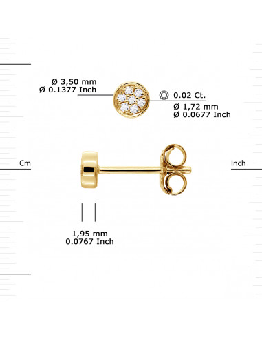 Boucles d'Oreilles Diamants 0,010 Carats -...