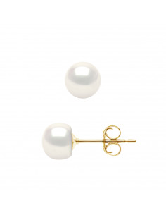 Earrings Beads BOUTONS - Sizes from 4 to 10 mm - Gold 375...