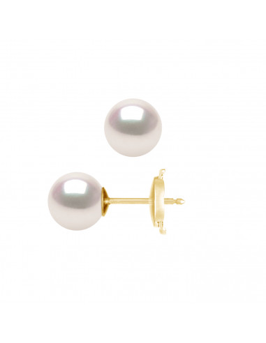 Boucles d'Oreilles Perles AKOYA - Tailles de 6 à 8 mm - Système SECURITE - Or 750 - MIYAZAKI