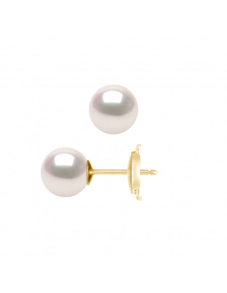 Boucles d'Oreilles Perles AKOYA - Tailles de 6 à 8 mm - Système SECURITE - Or 750 - MIYAZAKI
