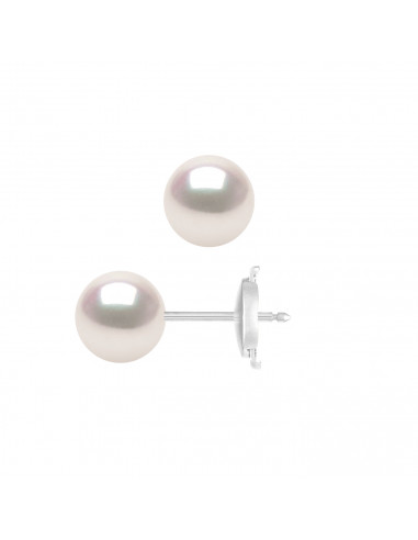 Boucles d'Oreilles Perles AKOYA - Tailles de 6 à 8 mm - Système SECURITE - Or 750 - MIYAZAKI