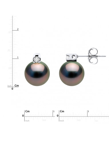 Round Tahiti Beads 8-9 mm Earrings - 0.04 CTS...