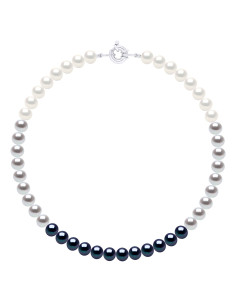 Collier Rang Couleurs en Dégradé de Perles Rondes 8-9 mm...