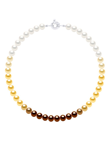 Collier Rang Couleurs en Dégradé de Perles...